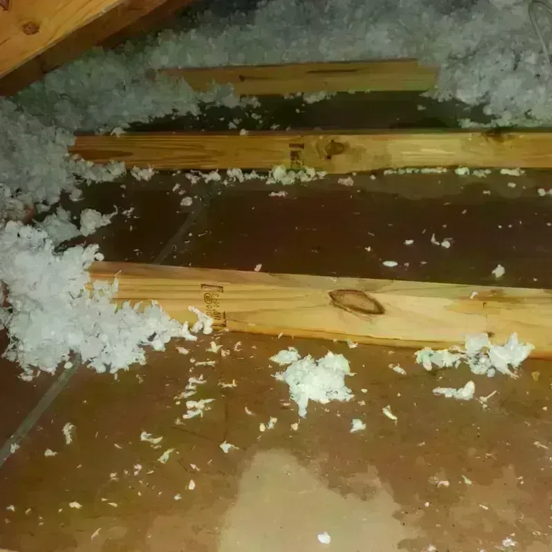 Attic Water Damage in Channelview, TX