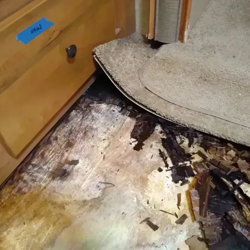 Best Wood Floor Water Damage Service in Channelview, TX